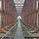 16 Fotozirkel Mannheim e.V. Felix Novotny